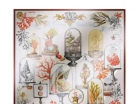 Max Mara шёлковый платок с принтом Cabinets Of Curiosities
