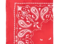 Destin Pino paisley scarf — шарф красный