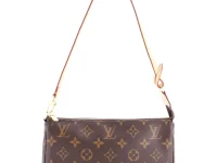 Louis Vuitton Pre-Owned Pochette Accessoires NM