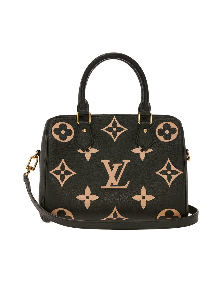 Louis Vuitton — сумка черная 25х22