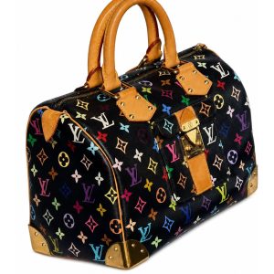 Louis Vuitton — сумка Speedy 30 многоцветная 31